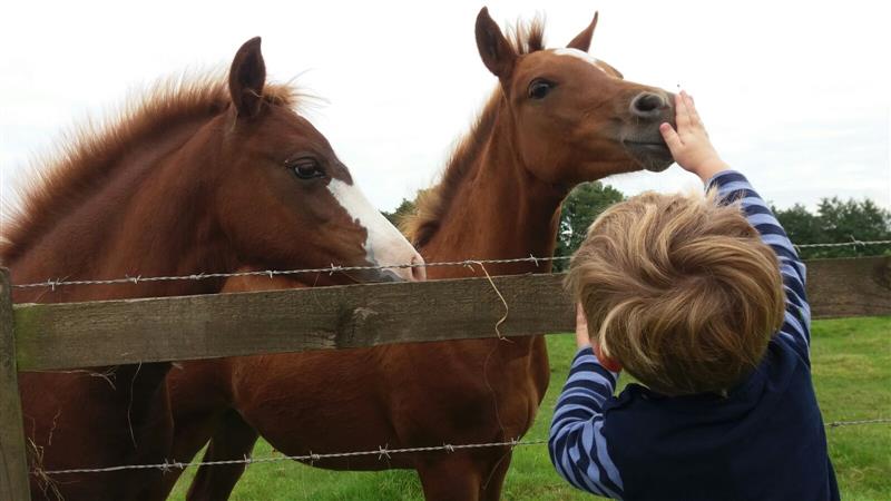 Children connecting with nature before school