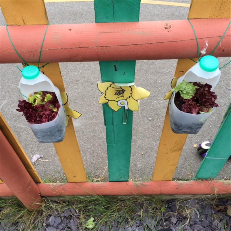 natural play at Didsbury Road Primary School