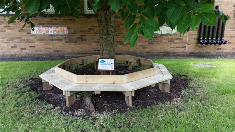 A Tree Seat in Memory of Ryan George