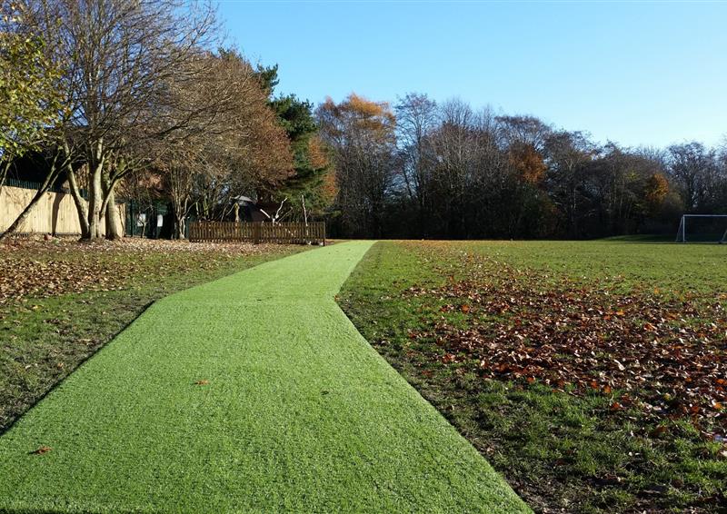 The daily mile track