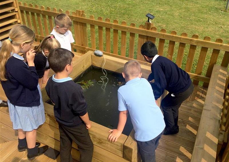 6 children looking into the pond, the pond is made from timber sleepers