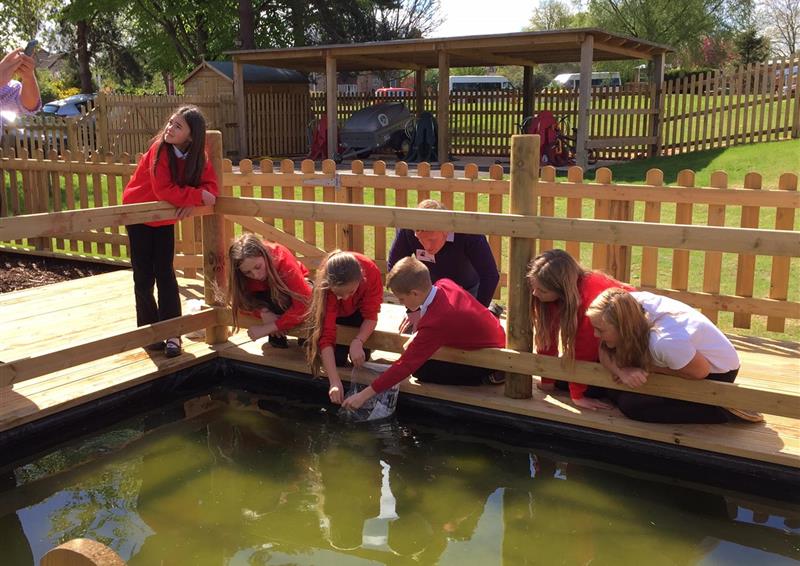 natural playground equipment