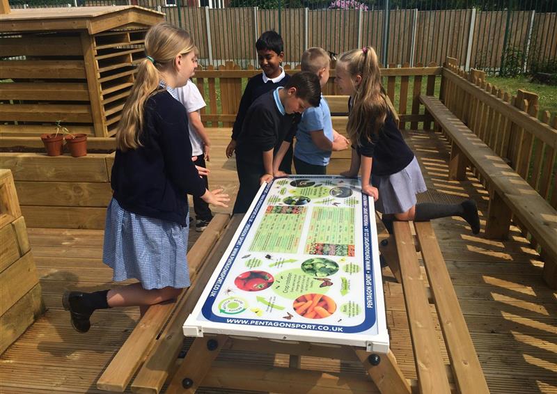 natural play equipment